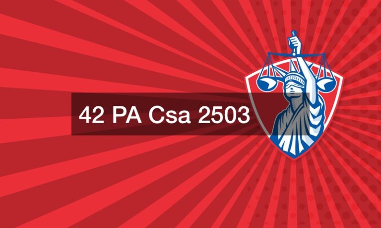 42 PA Csa 2503