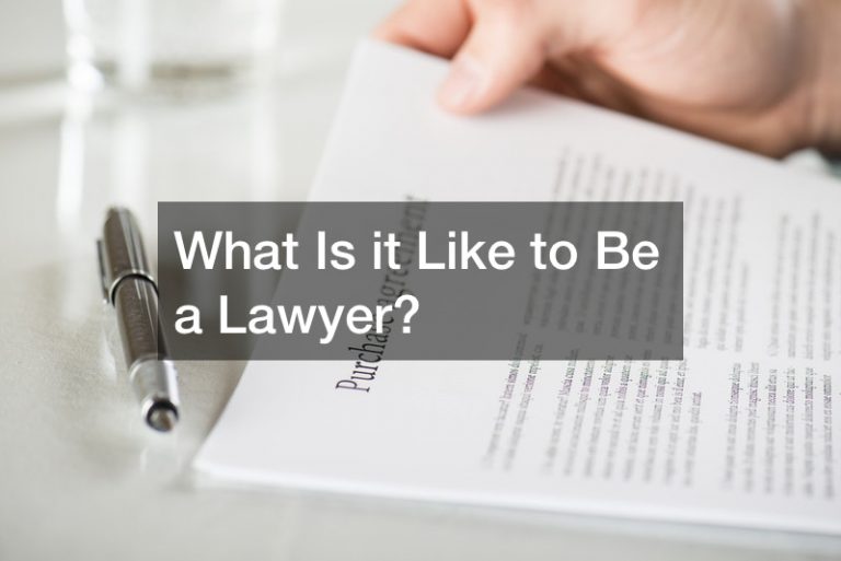 What Is it Like to Be a Lawyer?