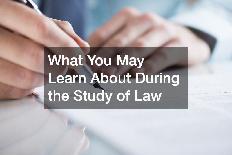 the study of law